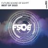 Download track The Homecoming (FSOE 800 Anthem) (Extended Mix)