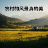 Download track 农村的风景真的美