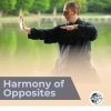 Download track Harmony Of Opposites: Soothing Ambient Music