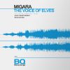 Download track The Voice Of Elves (Rezq Sound Remix)