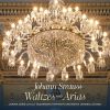 Download track J. Strauss II: The Blue Danube Waltz, Op. 314