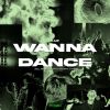 Download track Wanna Dance (PVR Remix)