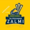 Download track Da Pekhawar Zalmi