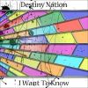 Download track Preludium: Electronic Fantasy (Ouverture To A Destiny Nation)