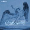 Download track Schwanengesang, S. 560 (After Schubert's D. 957): No. 14, Kriegers Ahnung