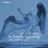 Download track Schwanengesang, S. 560 (After Schubert's D. 957): No. 7, Ständchen