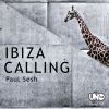 Download track Ibiza Calling (Instrumental Dub)