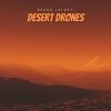 Download track Desert Drones, Pt. 4