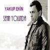 Download track Şimdi Git