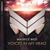 Download track Voices In My Head (Extended Mix)