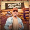 Download track No Pé Da Cajarana