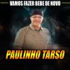 Download track A Cavalinha