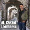 Download track Ali Denizim Canım Ciğerim