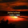 Download track Journey To Dream 5