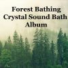 Download track Summer Evening Forest Bathing Crystal Sound Bath