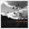 Download track The Fields Of Flesh