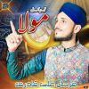 Download track Tu Hai Kamal Maula