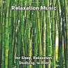 Download track Relaxation Music, Pt. 55