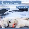 Download track Dream Deep & Lunar Catcher