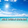 Download track Genuine California Ocean Waves