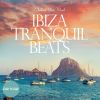 Download track Ibiza Blue (Original Mix)