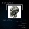 Download track Acid Droid (Main Mix)