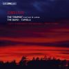 Download track 08 - The Tempest, Suite No. 1, Op. 109 No. 2 - VII. Intrada – Berceuse. Largo – Andante Sostenuto