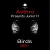 Download track Birds