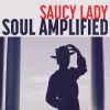 Download track Soul Amplified (Instrumental)