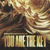 Download track You Are The Key