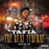 Download track The Real Federal