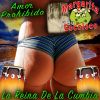 Download track La Reina De La Cumbia