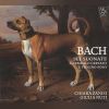 Download track Violin Sonata No. 6 In G Major, BWV 1019: IV. Adagio