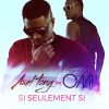 Download track Si Seulement Si (OMI)