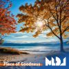 Download track Piece Of Goodness (Radio Mix)