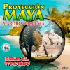 Download track Mix Hasta Amanecer: Cariñito De Mi Vida / Ya Viene Amaneciendo