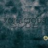 Download track Voracious Soul