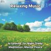 Download track Relaxing Music, Pt. 48