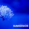 Download track Jellyfish Swarm