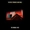 Download track The Poet (Prophet And Fool)