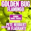 Download track Flamingo (Club Mix)