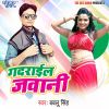 Download track Chij Hamar Thik Se