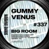 Download track Big Room (Stefano Amalfi Remix Edit)