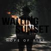 Download track Hope Of Fire