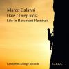 Download track Deep India (Life In Bassment Remix)