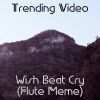 Download track Wish Beat Cry (Flute Meme) (Speed-Up Tik-Tok Remix)