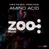 Download track Amino Acid (Audio X & D. J Feio Remix)