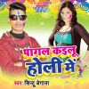 Download track Choli Me Chana Dal Ke