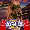 Download track Mi Consuelo