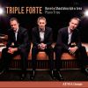 Download track Piano Trio In A Minor, M. 67: III. Passacaille: Tres Large